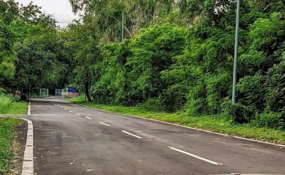 BU Bhopal Campus photo 1